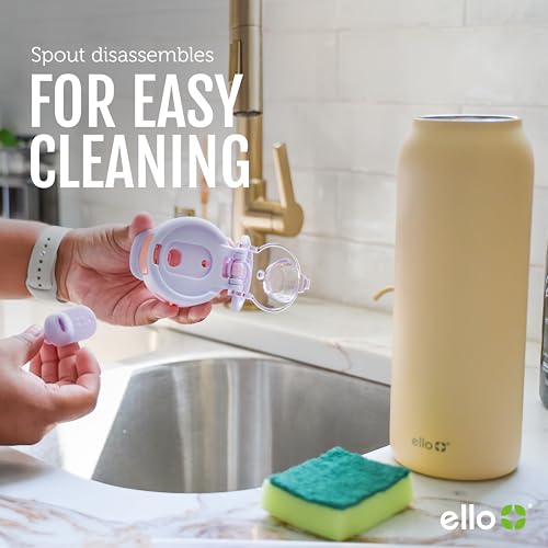 24 oz Insulated Stainless Steel Water Bottle for Teens, 2-in-1 Straw Spout Lid, Leak-Proof, BPA-Free, Cold 24H, Lilac Mood, School, Trekking, Hiking