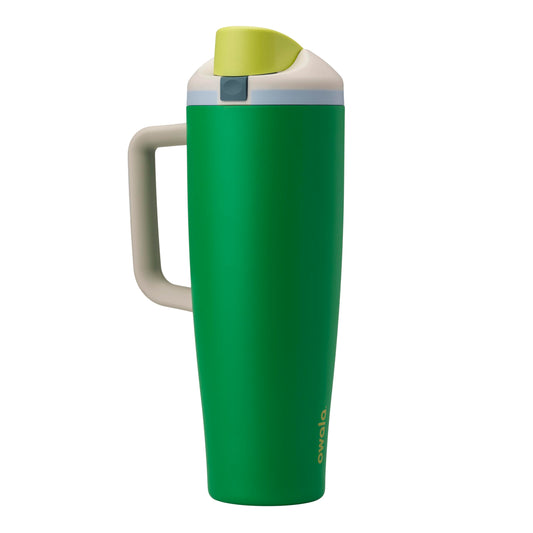 24 oz Owala Disney Princess FreeSip Insulated Stainless Steel Water Bottle with Straw, BPA-Free Sports Bottle, Moana, Sports and Travel